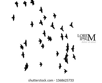 A flock of birds in the sky. Vector illustration