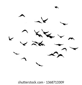 A flock of birds in the sky. Vector illustration