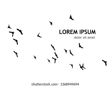 A flock of birds in the sky. Vector illustration