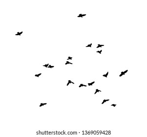 A flock of birds in the sky. Vector illustration