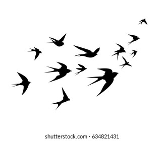A flock of birds (swallows) go up. Black silhouette on a white background. 