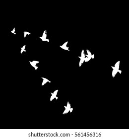 flock of birds. Vector.