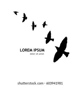 flock of birds. Vector