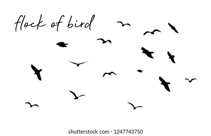 Flock of birds. vector bird wing. 