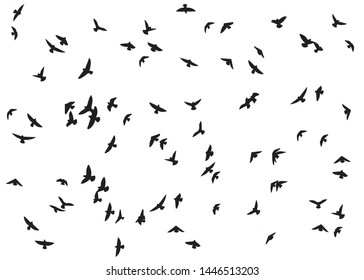 Flock of Birds, Vector Design