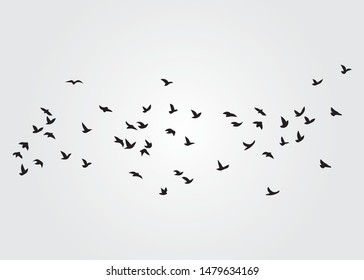 Flock of Birds, Vector Design