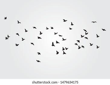 Flock of Birds, Vector Design