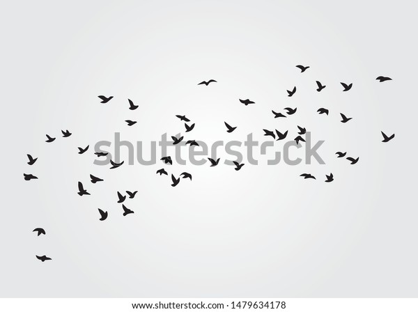 Flock of Birds, Vector Design