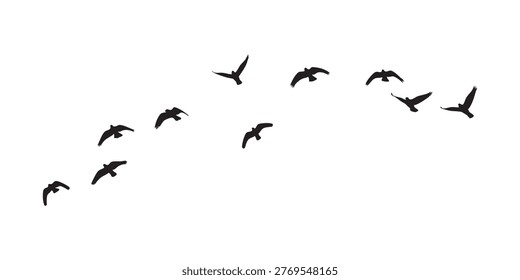flock of birds vector illustration. flock of birds on a white background. flock of birds illustration