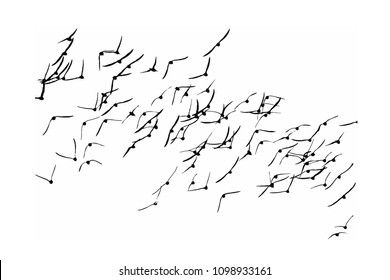 Flock of birds. Vector image. White background.