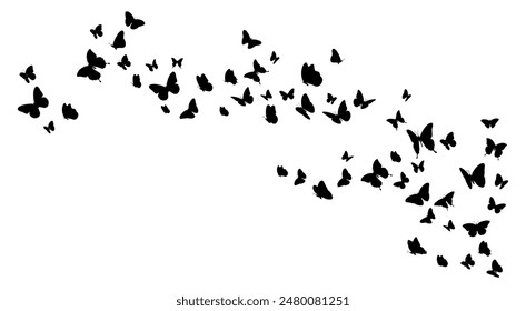 Flock of black butterflies silhouette flying on white background. Vector illustration 
