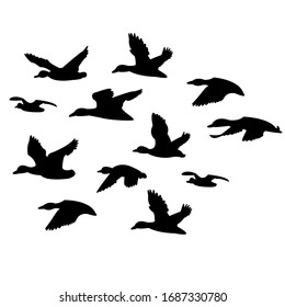 8,156 Flying Duck Vector Images, Stock Photos & Vectors | Shutterstock