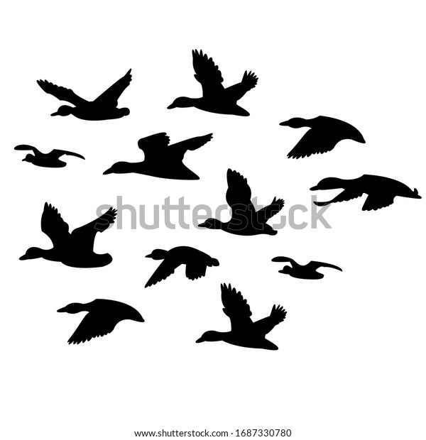 Flock Black Ducks Flying On White Stock Vector (Royalty Free ...