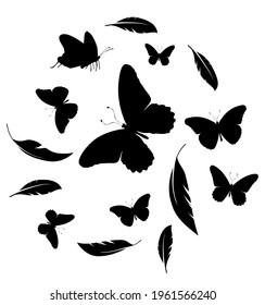 Flock of black feathers and butterflies isolated on white background. Vector