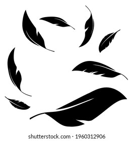 Flock of black feathers falling isolated on white background. Vector