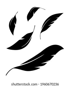 Flock of black feathers falling isolated on white background. Vector