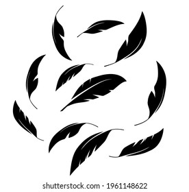 Flock of black feathers falling isolated on white background. Vector