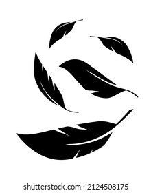 Flock of black feathers falling isolated on white background. Vector