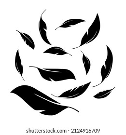Flock of black feathers falling isolated on white background. Vector	