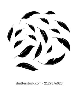 Flock of black feathers falling isolated on white background. Vector	