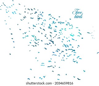 A flock of blue birds. Vector illustration