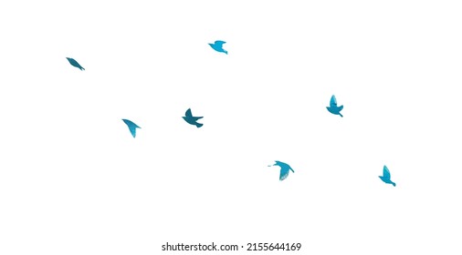 A flock of blue birds. Vector illustration