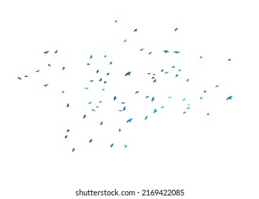 A flock of blue birds. Vector illustration