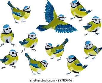 Flock of blue tits isolated over white background