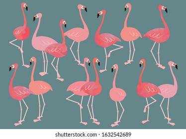 Flock of bright pink flamingos