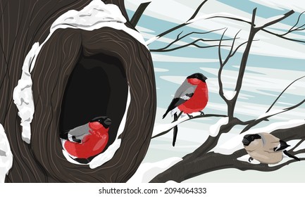 A flock of bullfinches on a tree with a large hollow. Realistic vector winter landscape