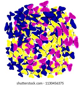 A flock of butterflies on a white background, background.