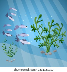  flock of cheerful fish swims in the sea. Vector  EPS 10