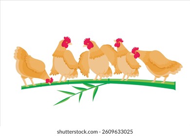 A flock of chickens perched on bamboo
