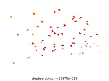 A flock of colored birds. hand drawing. Not AI, Vector illustration