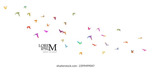 A flock of colored birds. hand drawing. Not AI, Vector illustration