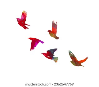 A flock of colored birds. Vector illustration