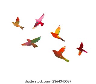 A flock of colored birds. Vector illustration