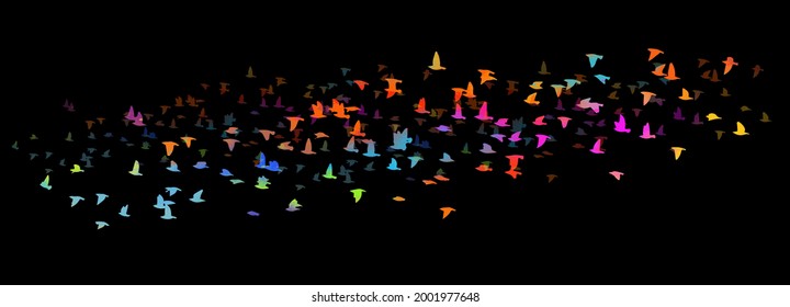 A flock of colorful birds at night . Vector illustration