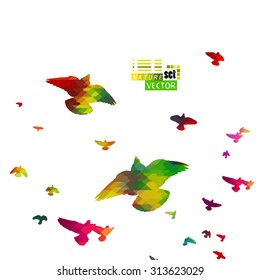 A flock of colorful birds. Vector
