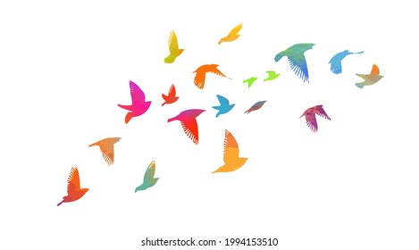 A flock of colorful birds. Vector illustration