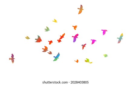 A flock of colorful birds. Vector illustration