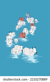 Flock of cows in water and their shepherd