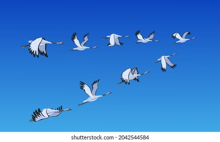 A flock of cranes is flying in the sky. Migratory birds fly south. Wind illustration.