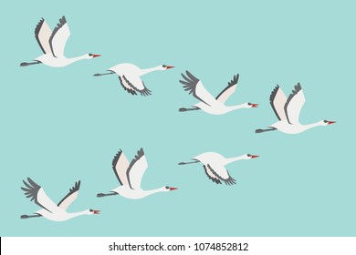 Flock of cranes in flying. Vector flat illustration of bird migration isolated on blue background.