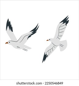 Flock of cranes in flying. Vector flat illustration of bird migration isolated. Vector illustration of two cartoon flying sparrows isolated on white background.