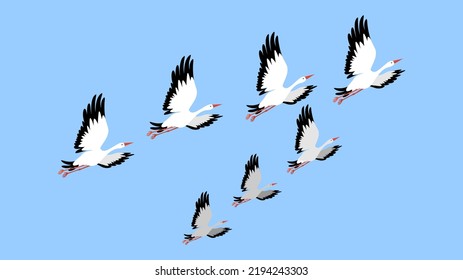 flock of cranes in the sky
