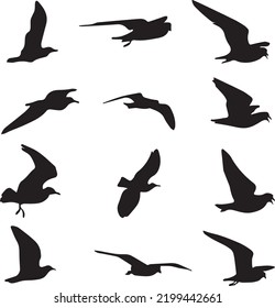 Flock von Kranen oder Storchenschwarzer Silhouette im Fliegen
