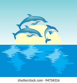 Flock dolphin on sunrise