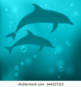 A flock of dolphins underwater