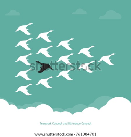 Flock of a duck flying in the sky., Teamwork Concept and Difference Concept.., Wild duck.